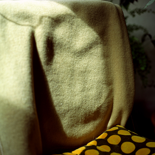 eigentlich vergangen - Alpaka